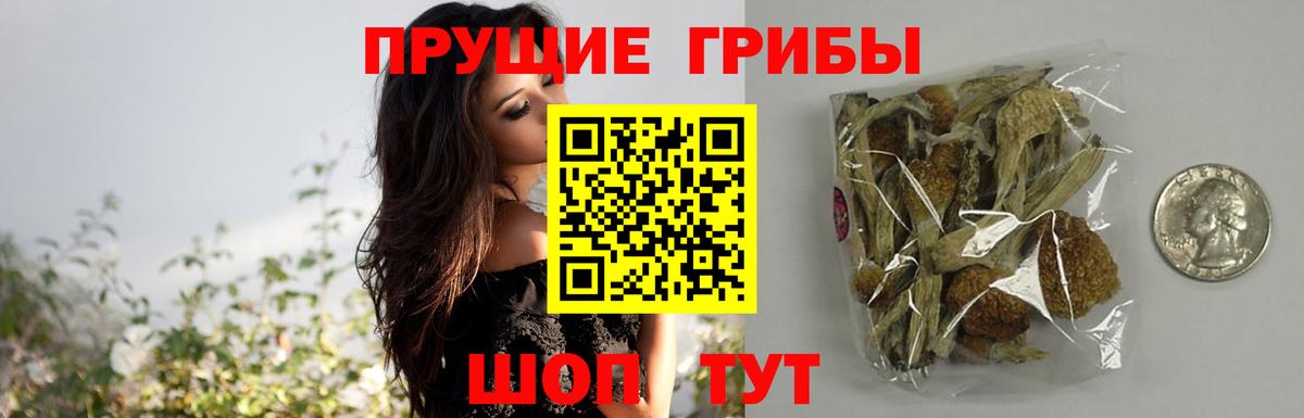 Псилоцибиновые грибы GOLDEN TEACHER Россия